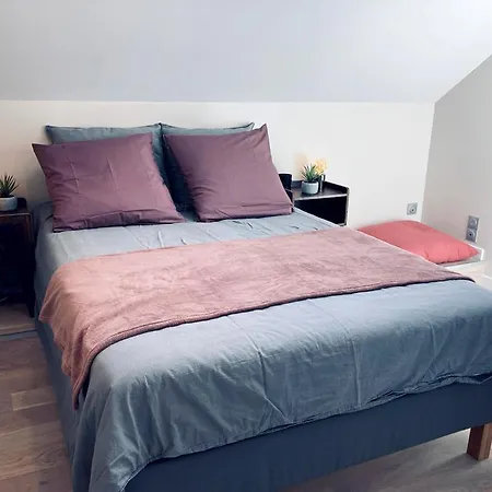 La Bulle Des Viennes Maison Climatisee - Champagne 펜션 *