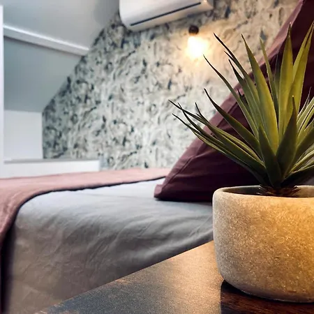 La Bulle Des Viennes Maison Climatisee - Champagne *