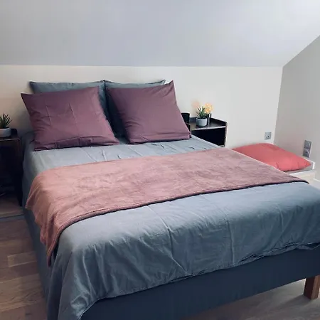 Holiday home La Bulle Des Viennes Maison Climatisee - Champagne *